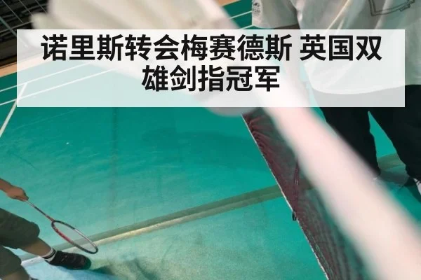诺里斯转会梅赛德斯 英国双雄剑指冠军