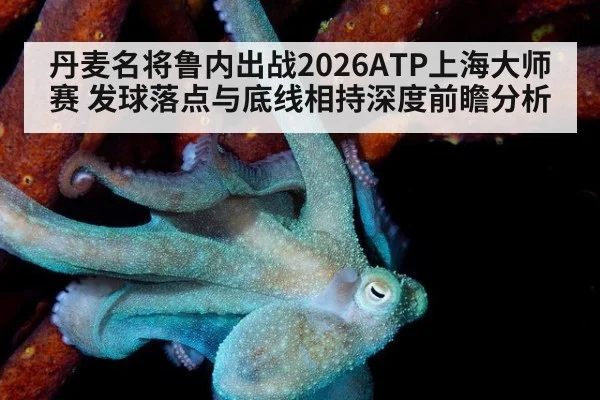 丹麦名将鲁内出战2026ATP上海大师赛 发球落点与底线相持深度前瞻分析