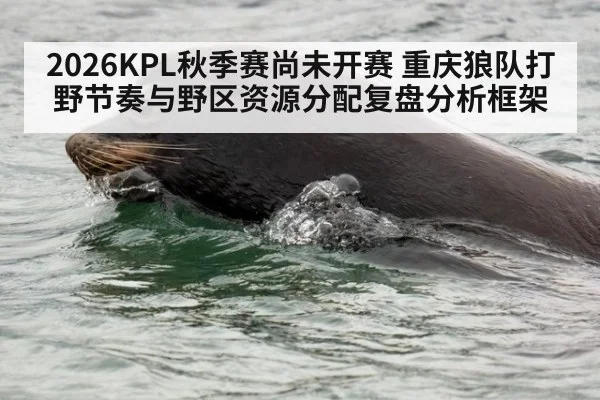 2026KPL秋季赛尚未开赛 重庆狼队打野节奏与野区资源分配复盘分析框架